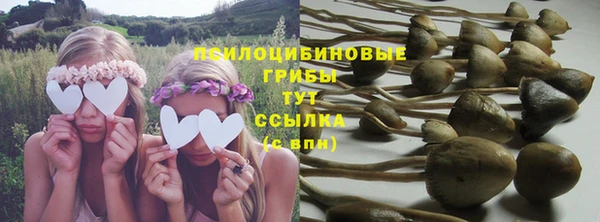 не бодяженный Верхний Тагил
