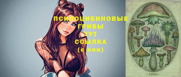не бодяженный Верхний Тагил